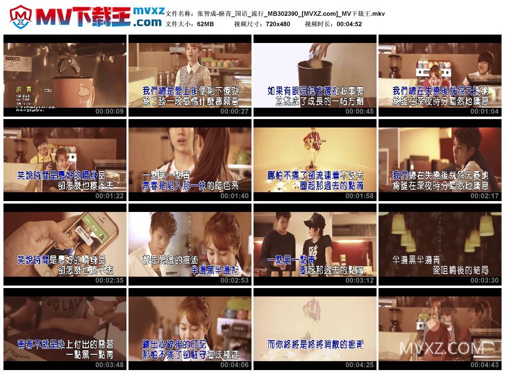 张智成-瘀青_国语_流行_MB302390